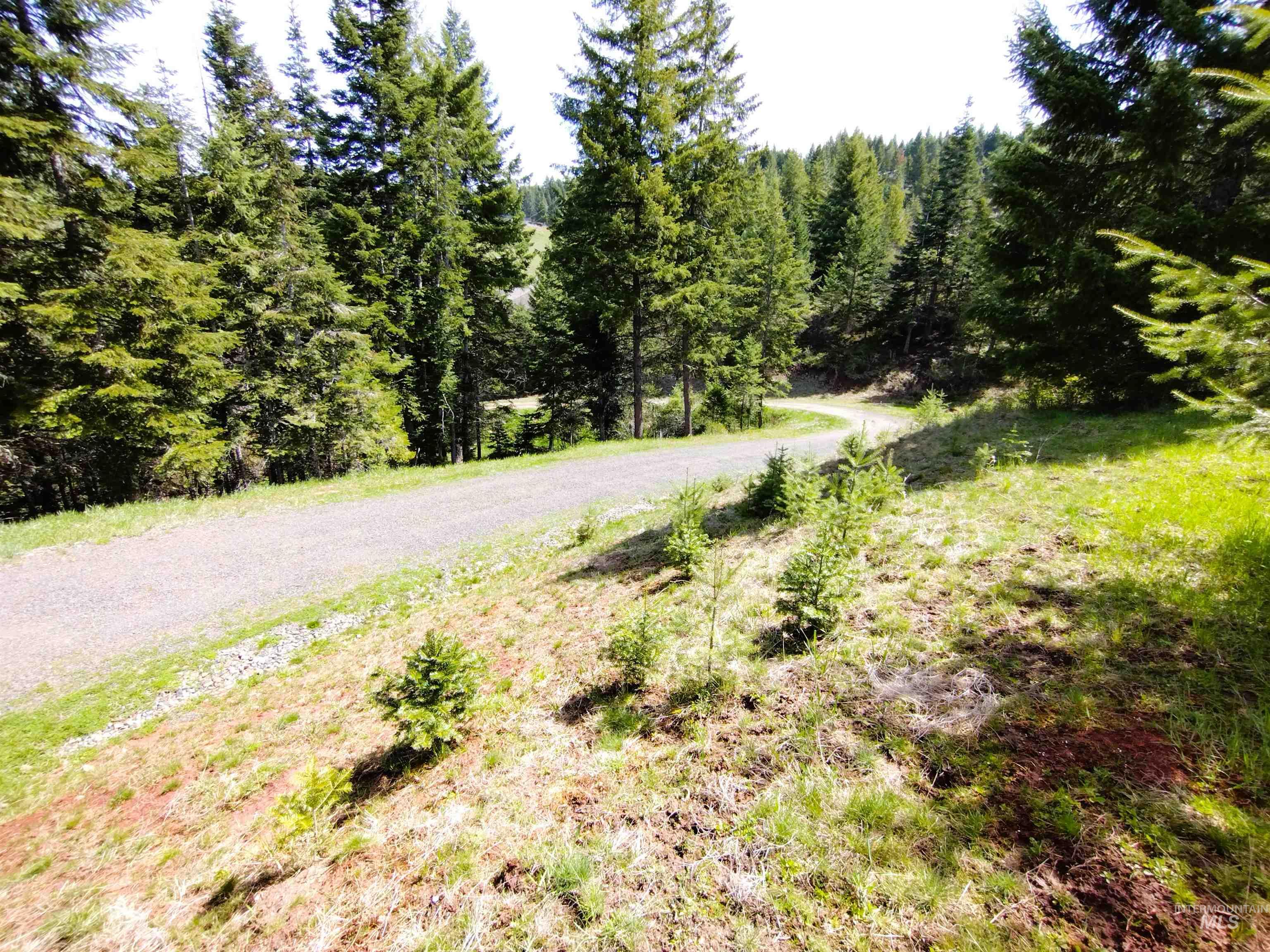 142 Shenandoah Third Street Kamiah, ID 83536 - Photo 12 of 50 View of road featuring a wooded view