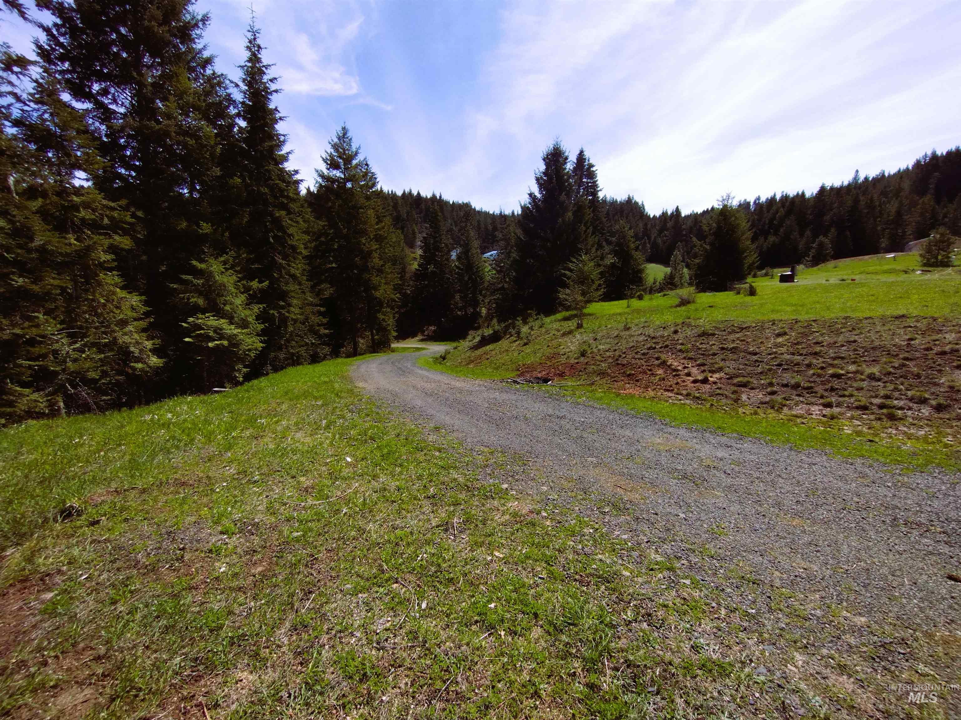 142 Shenandoah Third Street Kamiah, ID 83536 - Photo 13 of 50 View of dirt / gravel road with a forest view