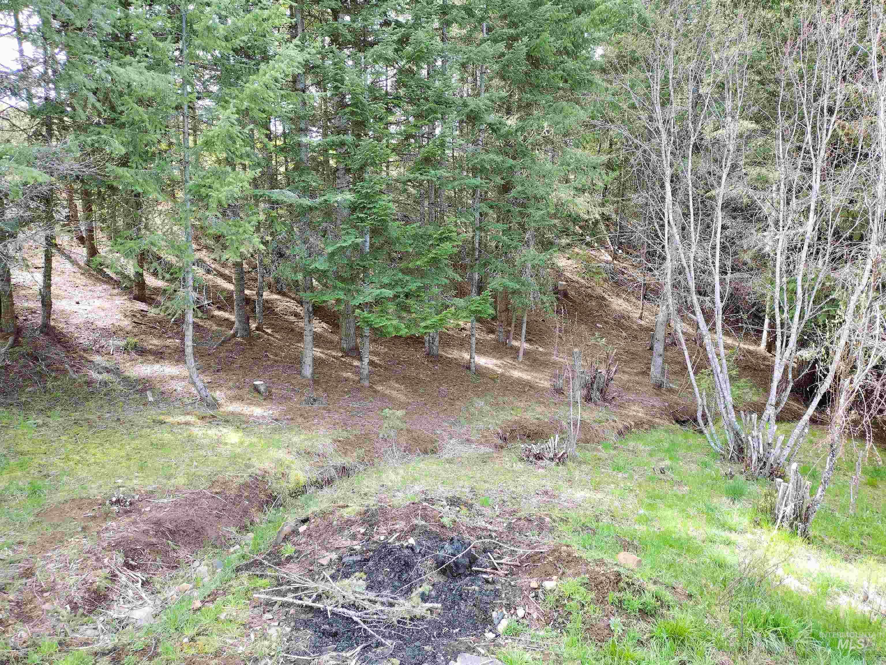 142 Shenandoah Third Street Kamiah, ID 83536 - Photo 14 of 50 View of yard