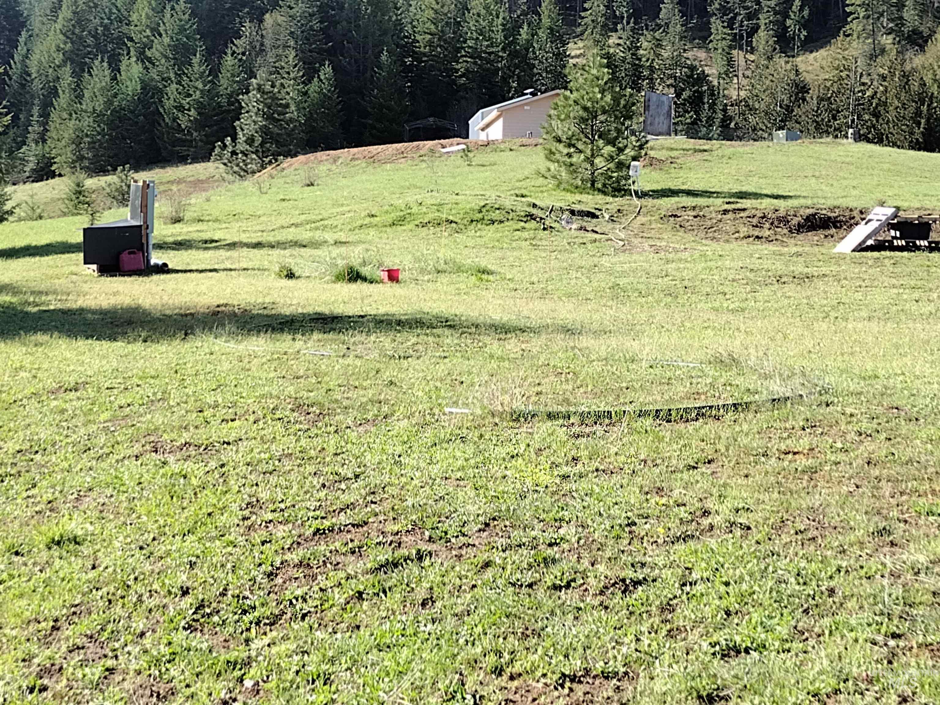 142 Shenandoah Third Street Kamiah, ID 83536 - Photo 19 of 50 View of grassy yard with a rural view