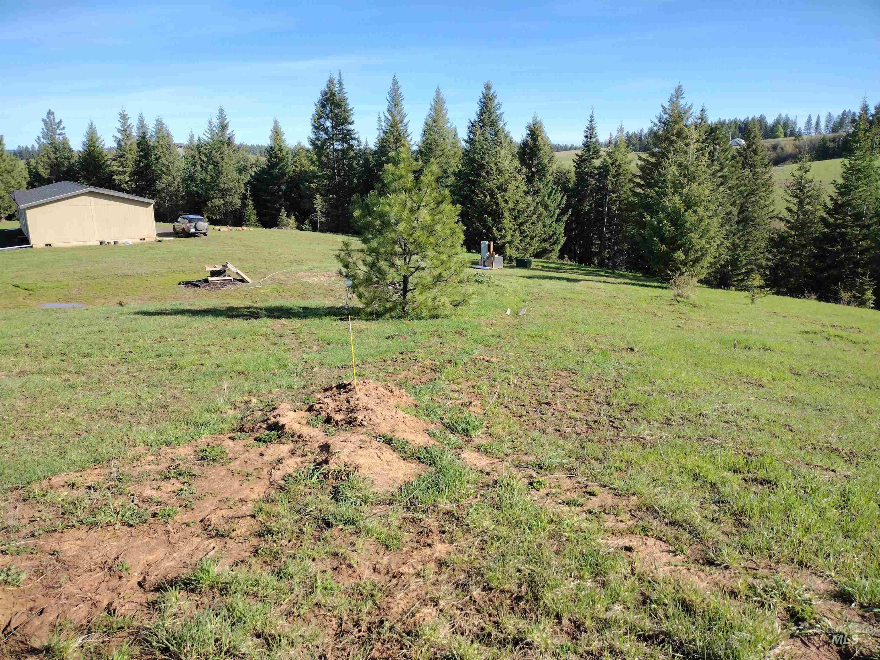 142 Shenandoah Third Street Kamiah, ID 83536 - Photo 20 of 50 View of grassy yard with a rural view