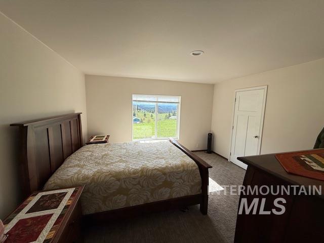142 Shenandoah Third Street Kamiah, ID 83536 - Photo 32 of 50 Bedroom featuring dark carpet