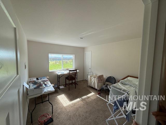 142 Shenandoah Third Street Kamiah, ID 83536 - Photo 42 of 50 Bedroom used as Office space featuring carpet floors,