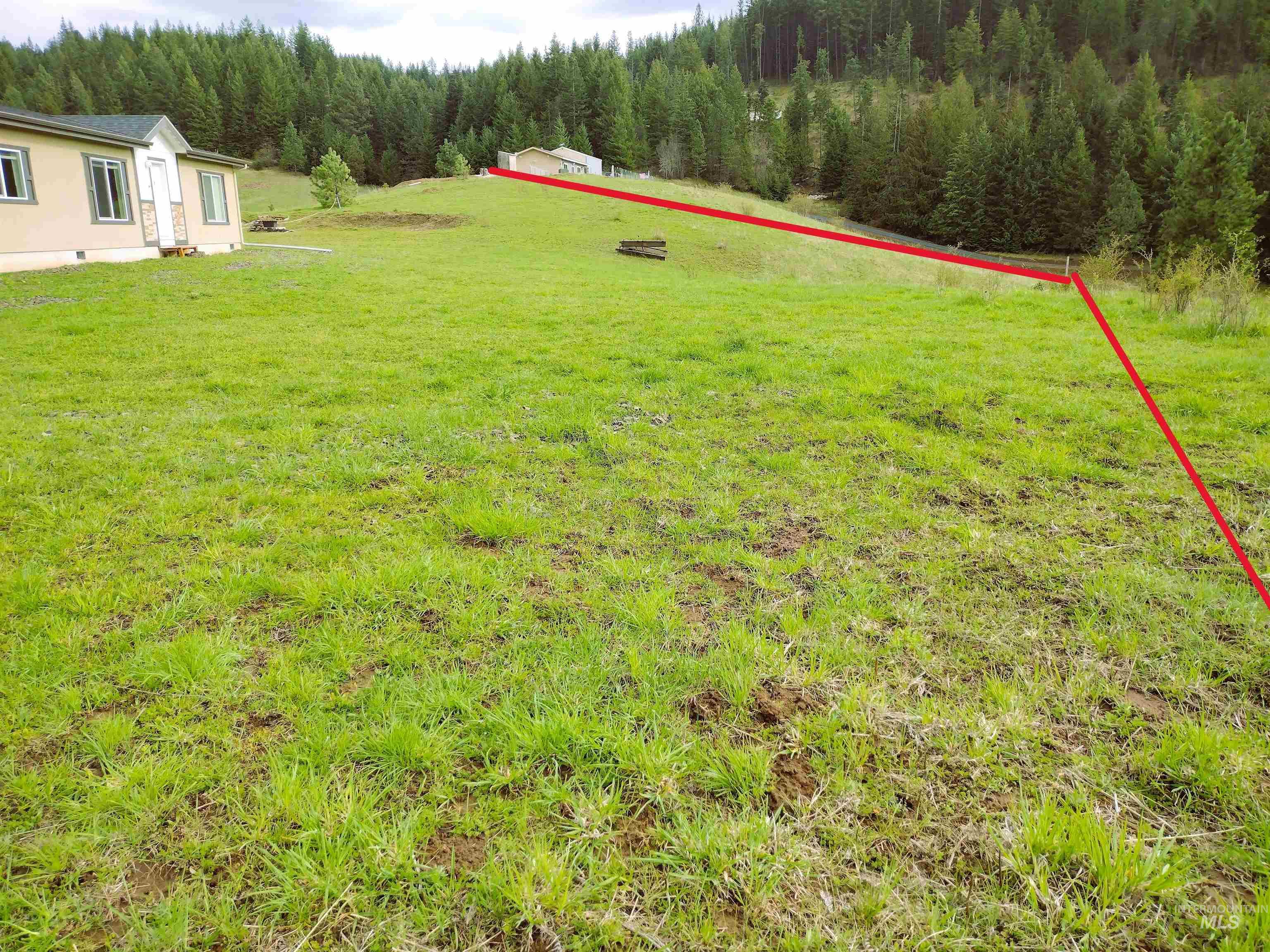 142 Shenandoah Third Street Kamiah, ID 83536 - Photo 7 of 50 View of green lawn with a wooded view