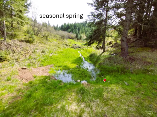 $396,900 | 142 Shenandoah Third Street, Kamiah, ID 83536