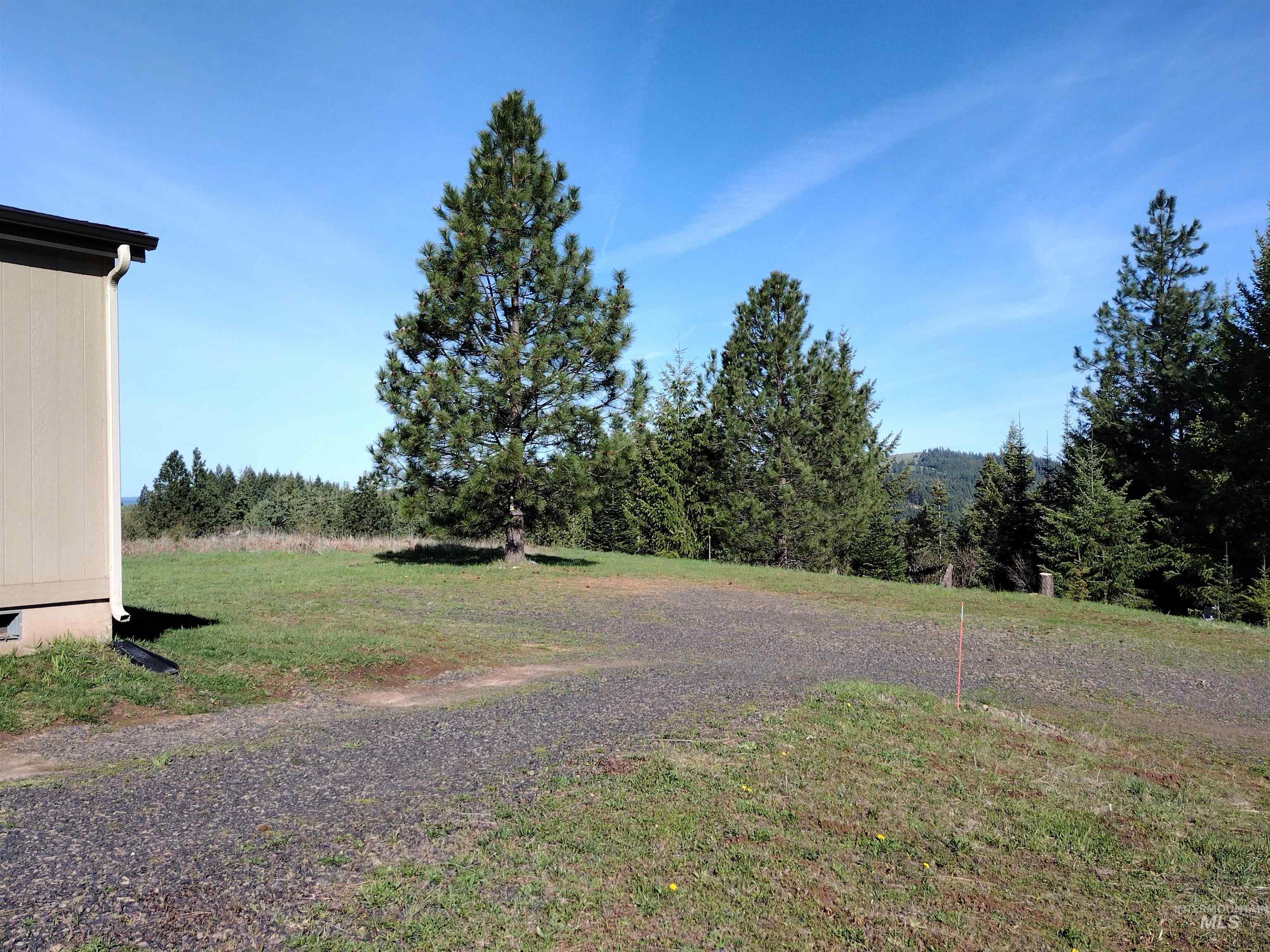 142 Shenandoah Third Street Kamiah, ID 83536 - Photo 9 of 50 View of green lawn