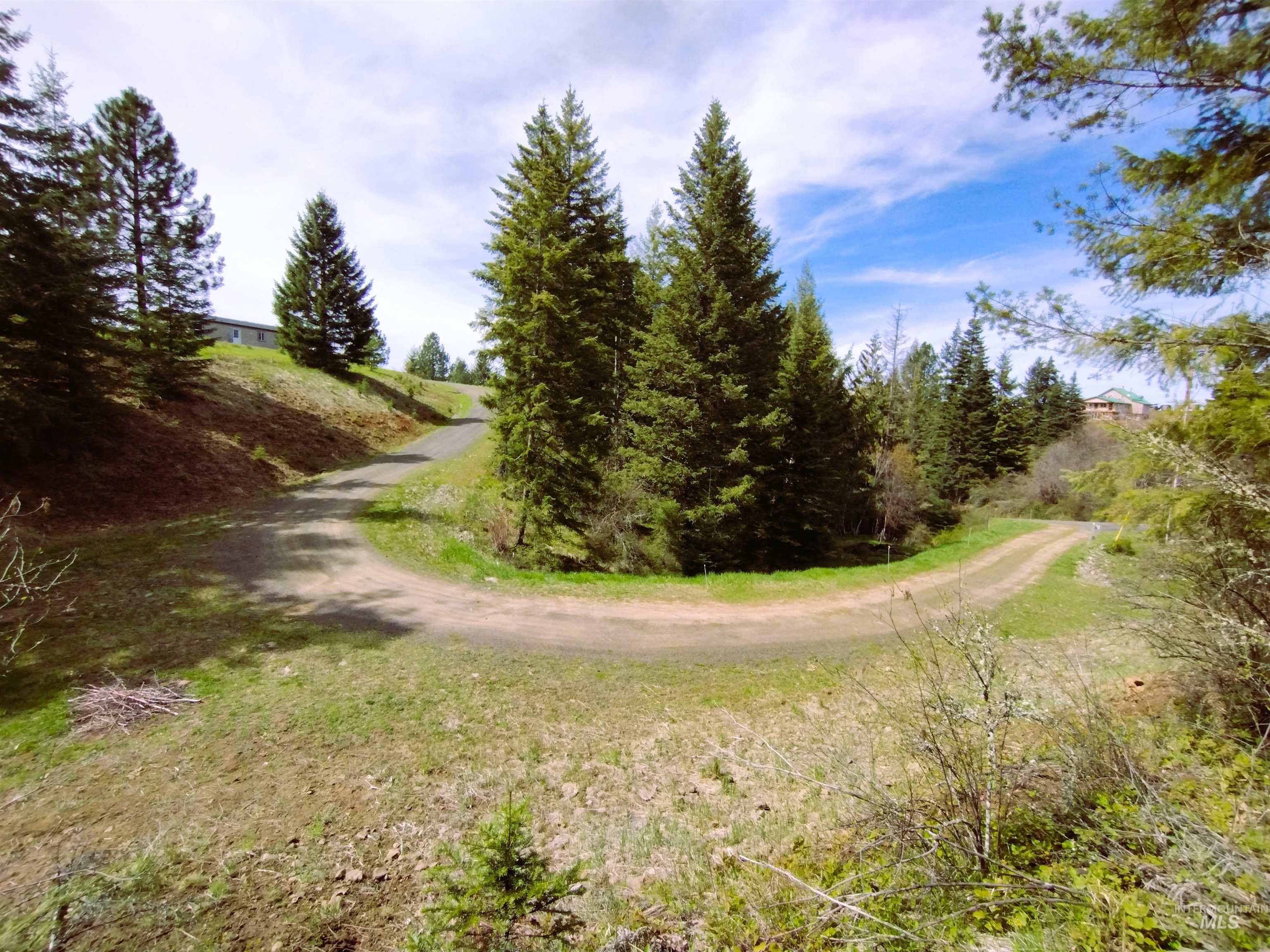142 Shenandoah Third Street Kamiah, ID 83536 - Photo 10 of 50 View of dirt / gravel road