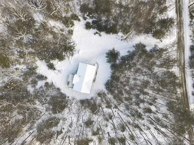 a view of a dry yard with trees