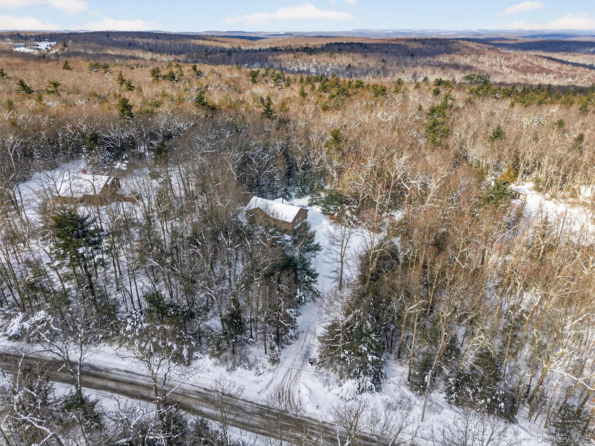 151 Renner Road Mountain Dale, NY 12763 - Photo 47 of 47