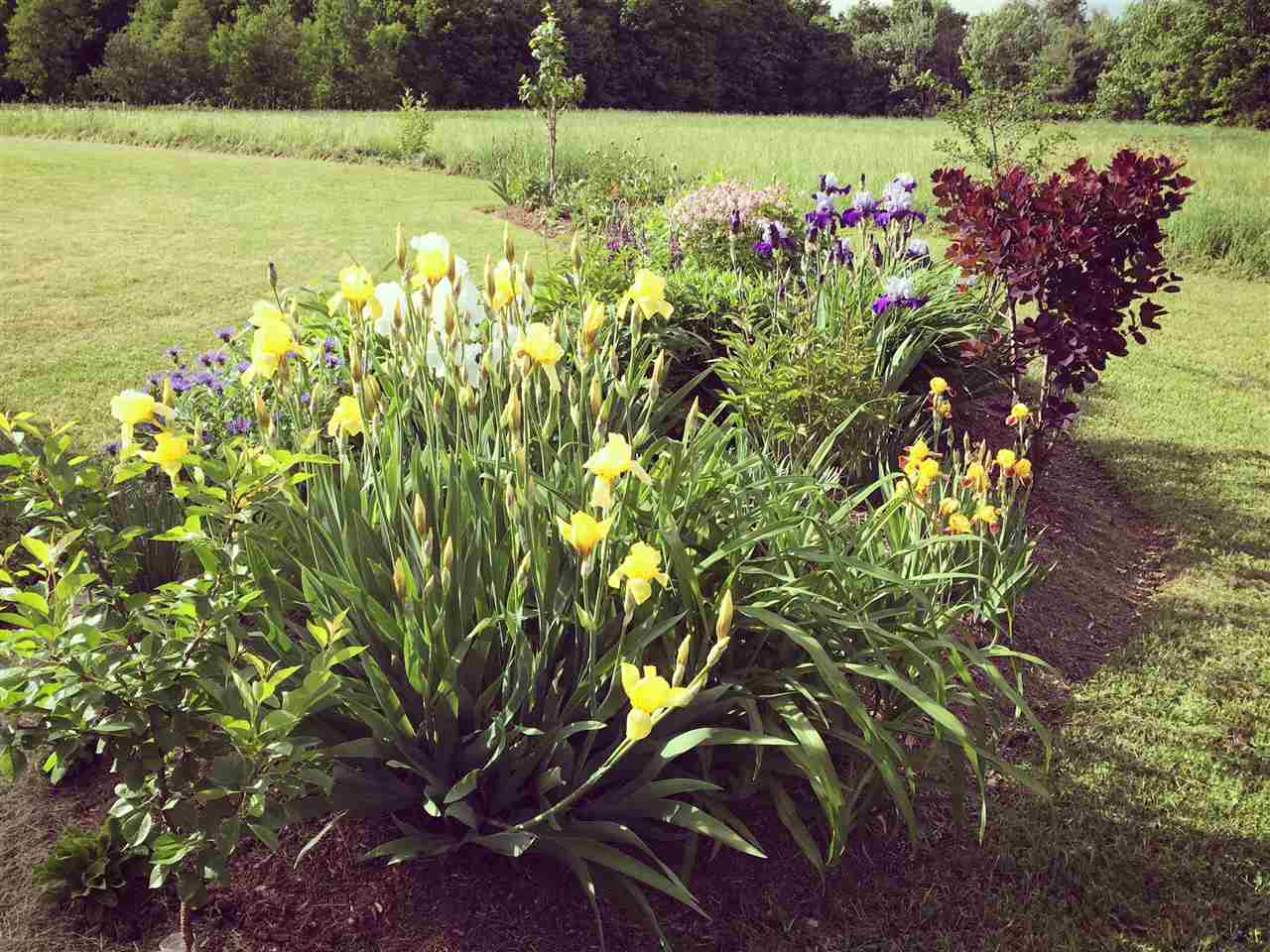 1286 Hazen Notch Road Lowell, VT 05847 - Photo 27 of 37 Gallery Image 27