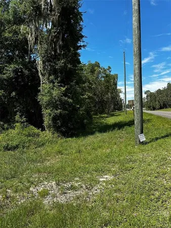 $55,000 | Thrasher Drive, Bronson, FL 32621