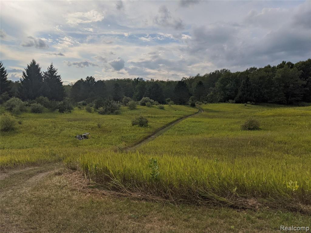 2430 Pointer Road West Branch, MI 48661 - Photo 11 of 41