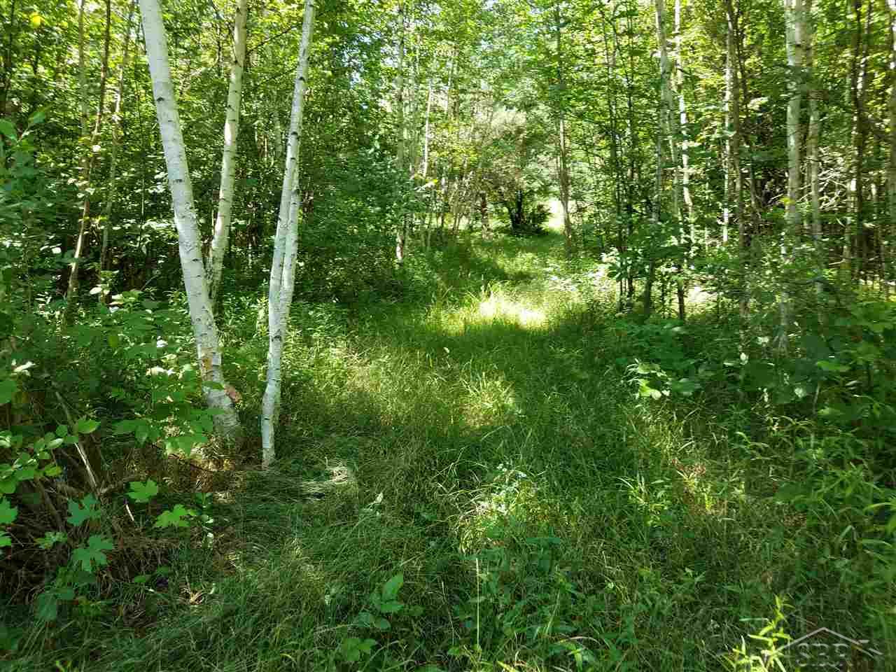 5520 Rossman Road Kingston, MI 48741 - Photo 43 of 71 Gallery Image 43