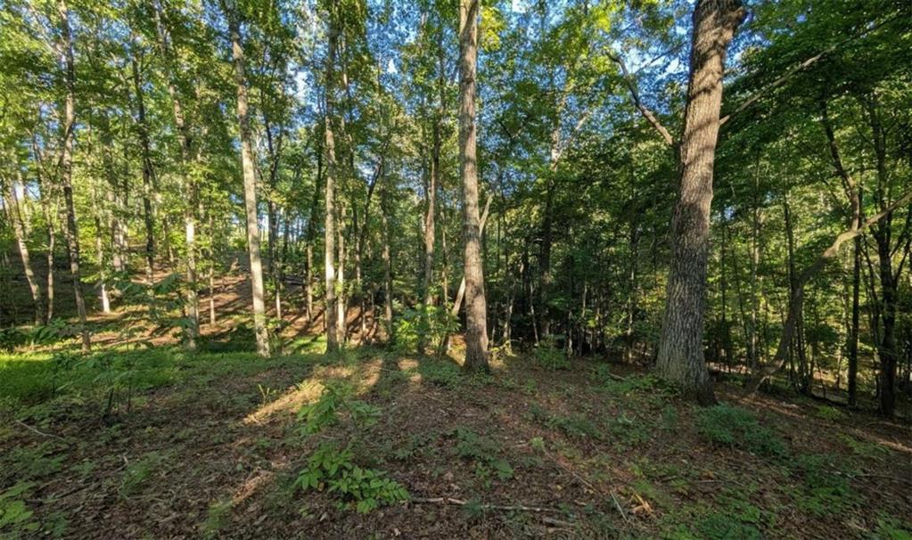 Lot 1 White Oak Circle Blue Ridge, GA 30513 - Photo 12 of 16 Gallery Image 12