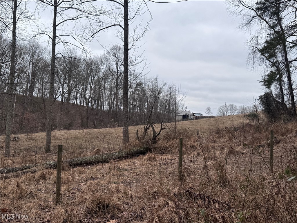 Pugh Road Stockport, OH 43787 - Photo 22 of 23