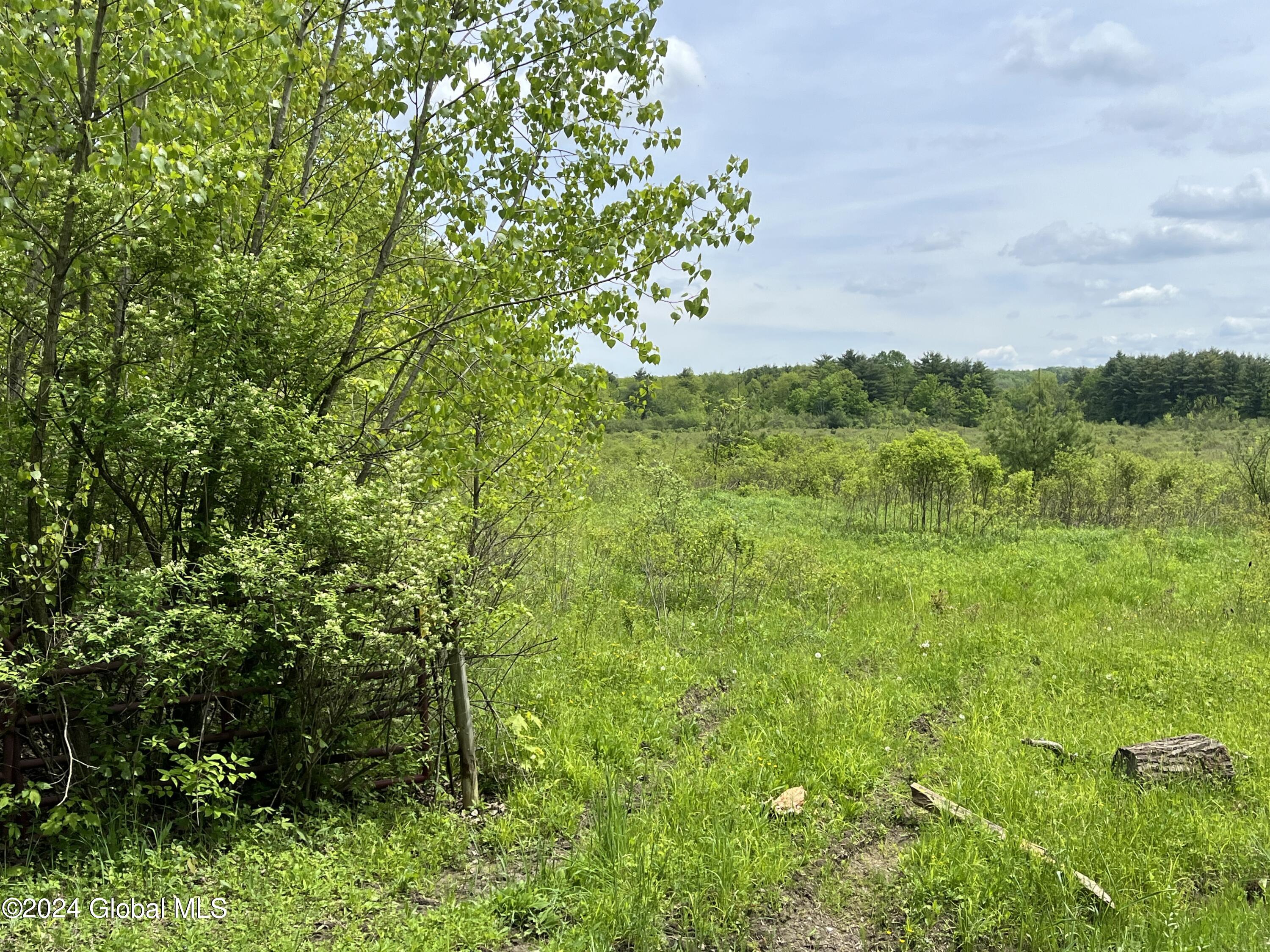 0 Klemme Road Sprakers, NY 12166 - Photo 2 of 12 IMG_8225