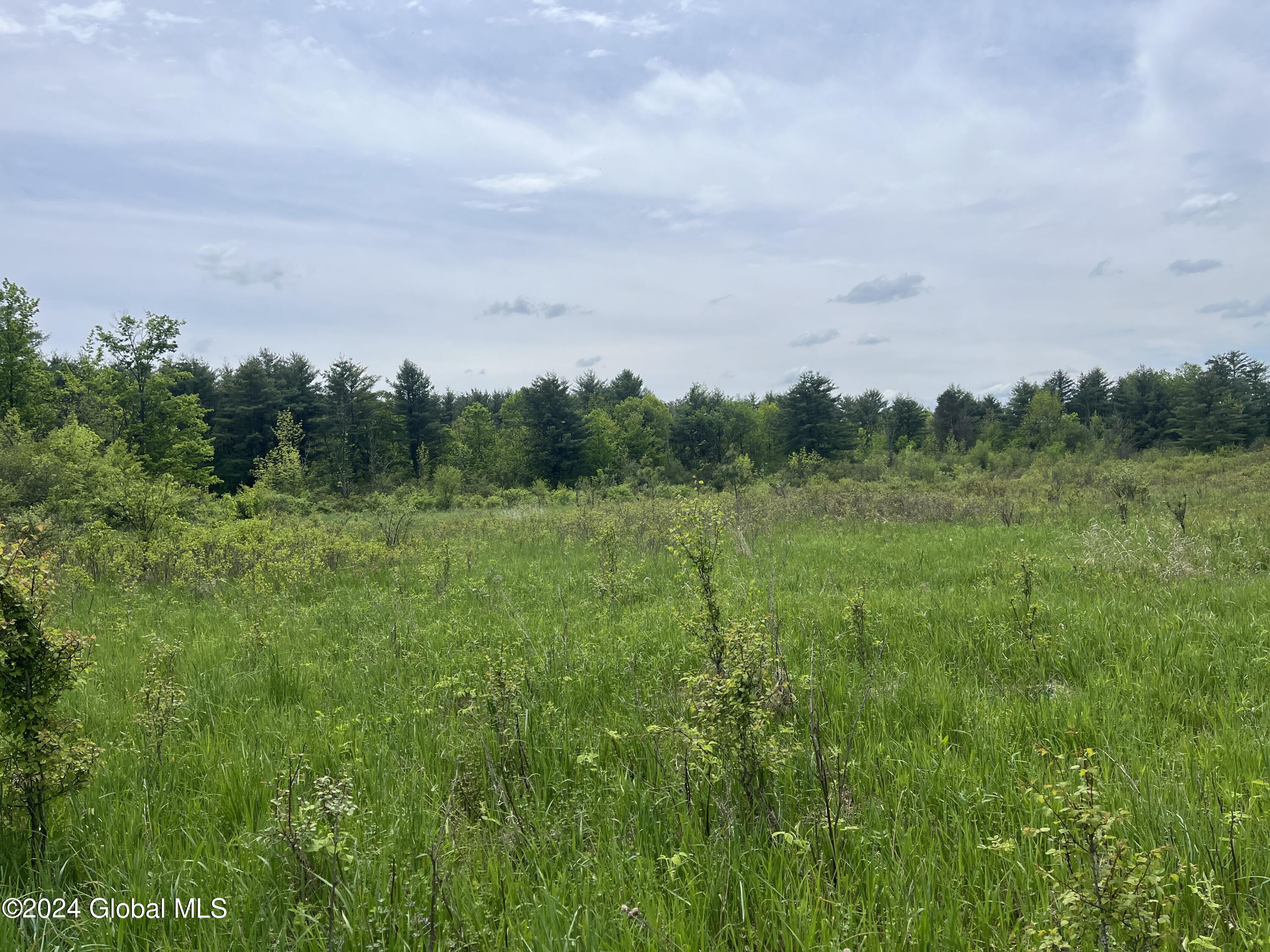 0 Klemme Road Sprakers, NY 12166 - Photo 4 of 12 IMG_8220