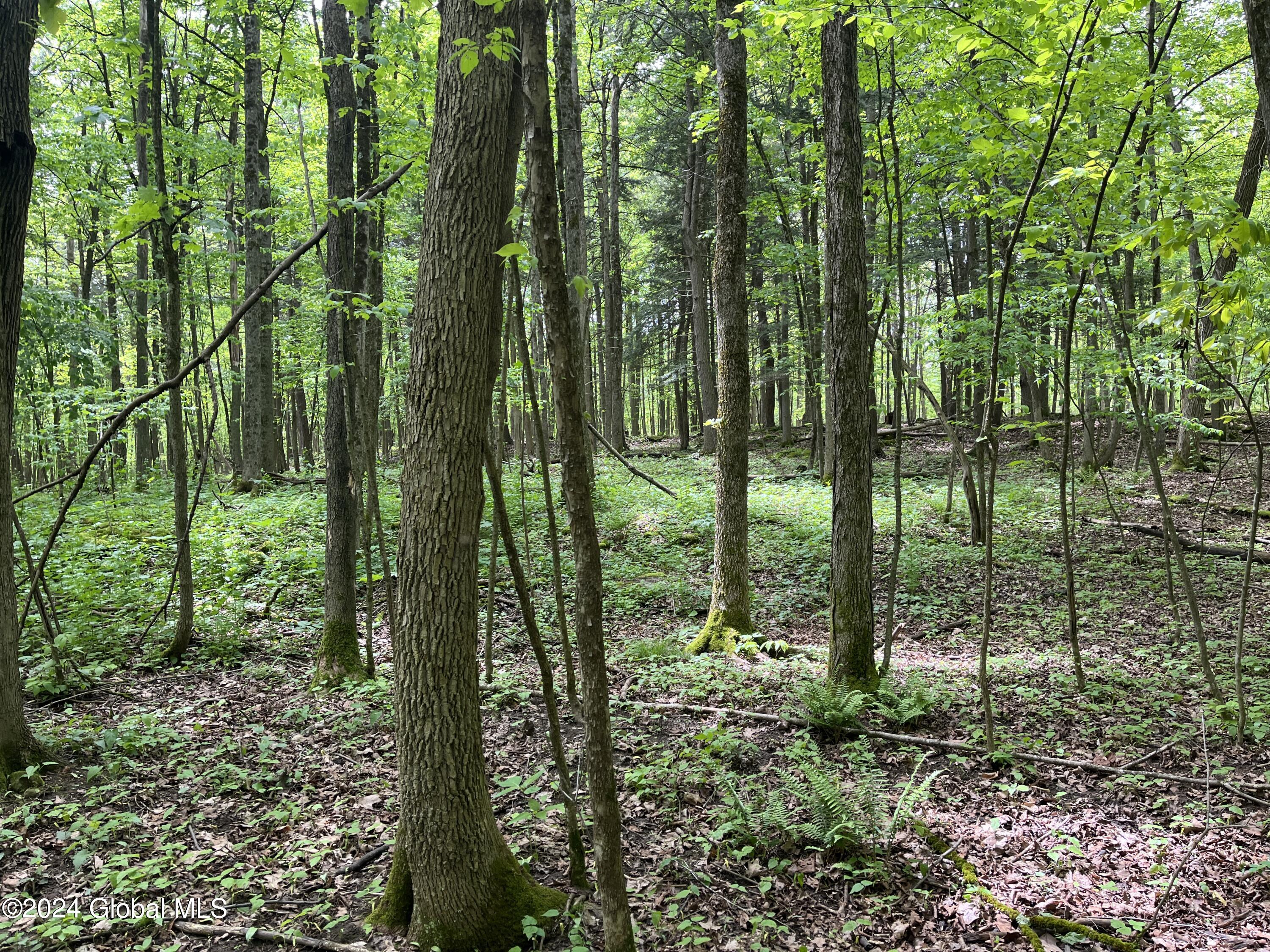 0 Klemme Road Sprakers, NY 12166 - Photo 6 of 12 IMG_8218