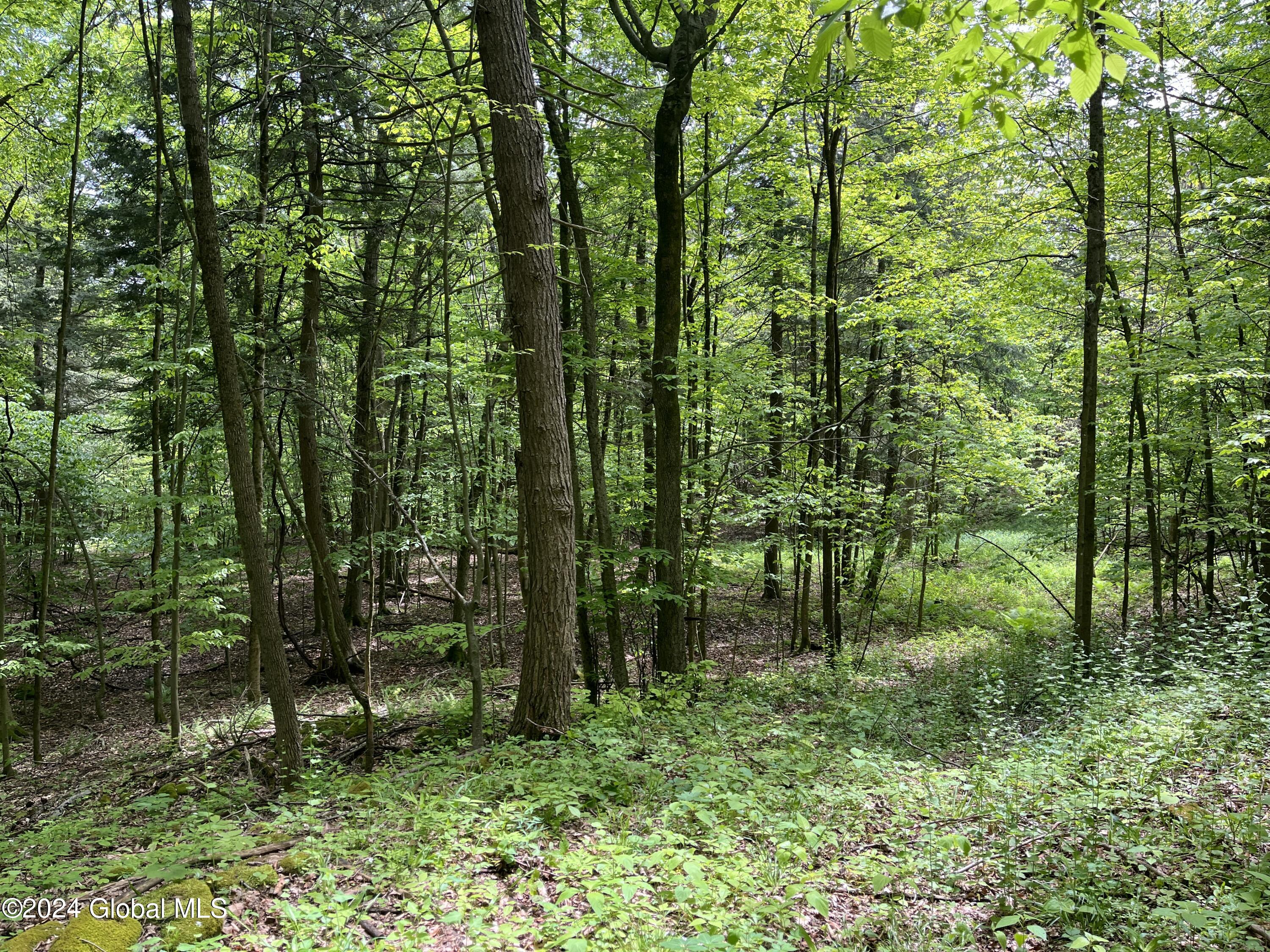 0 Klemme Road Sprakers, NY 12166 - Photo 7 of 12 IMG_8217