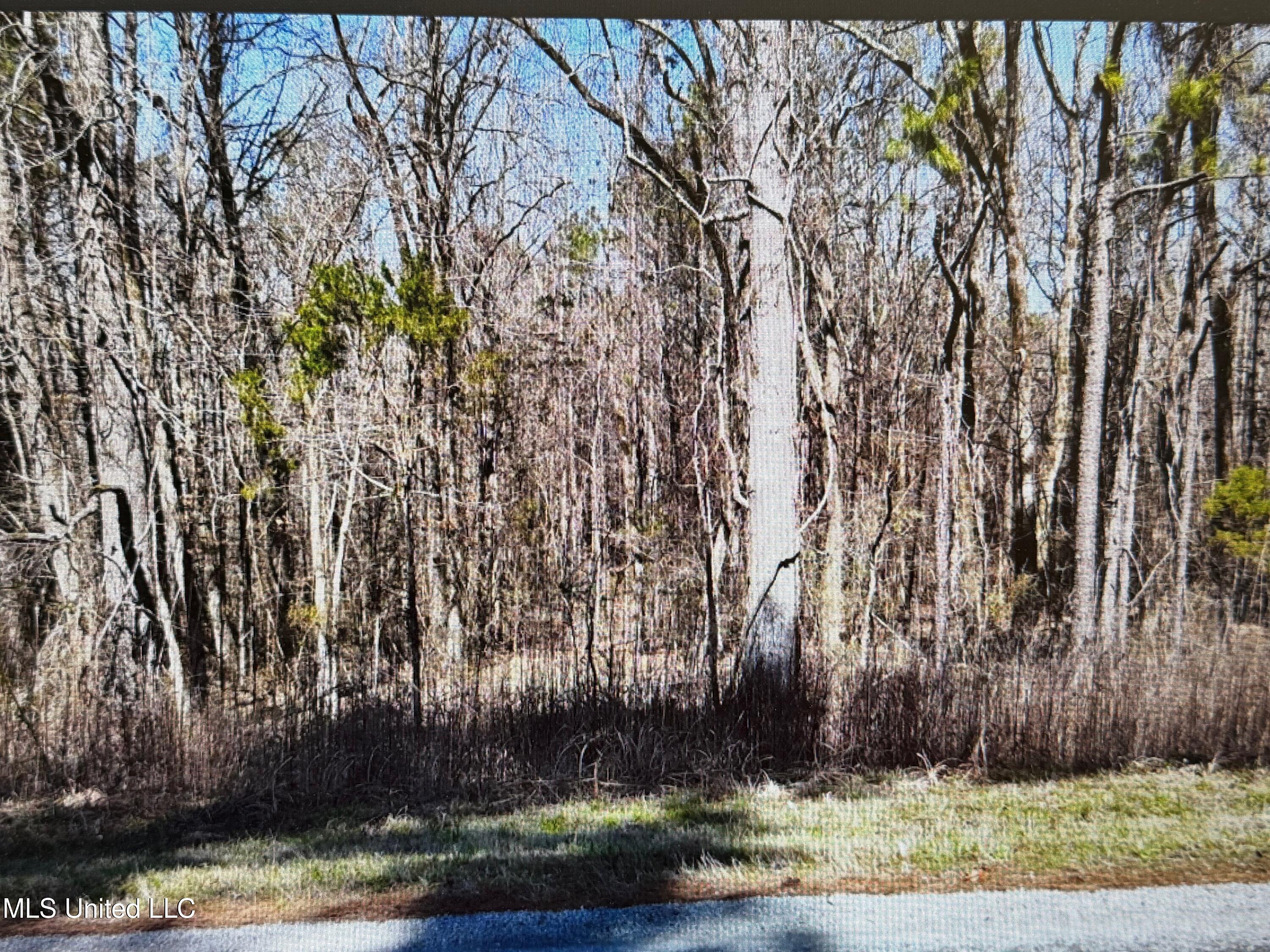 0 Red Hills Road Byhalia, MS 38611 - Photo 2 of 9 red hills 6 jpg