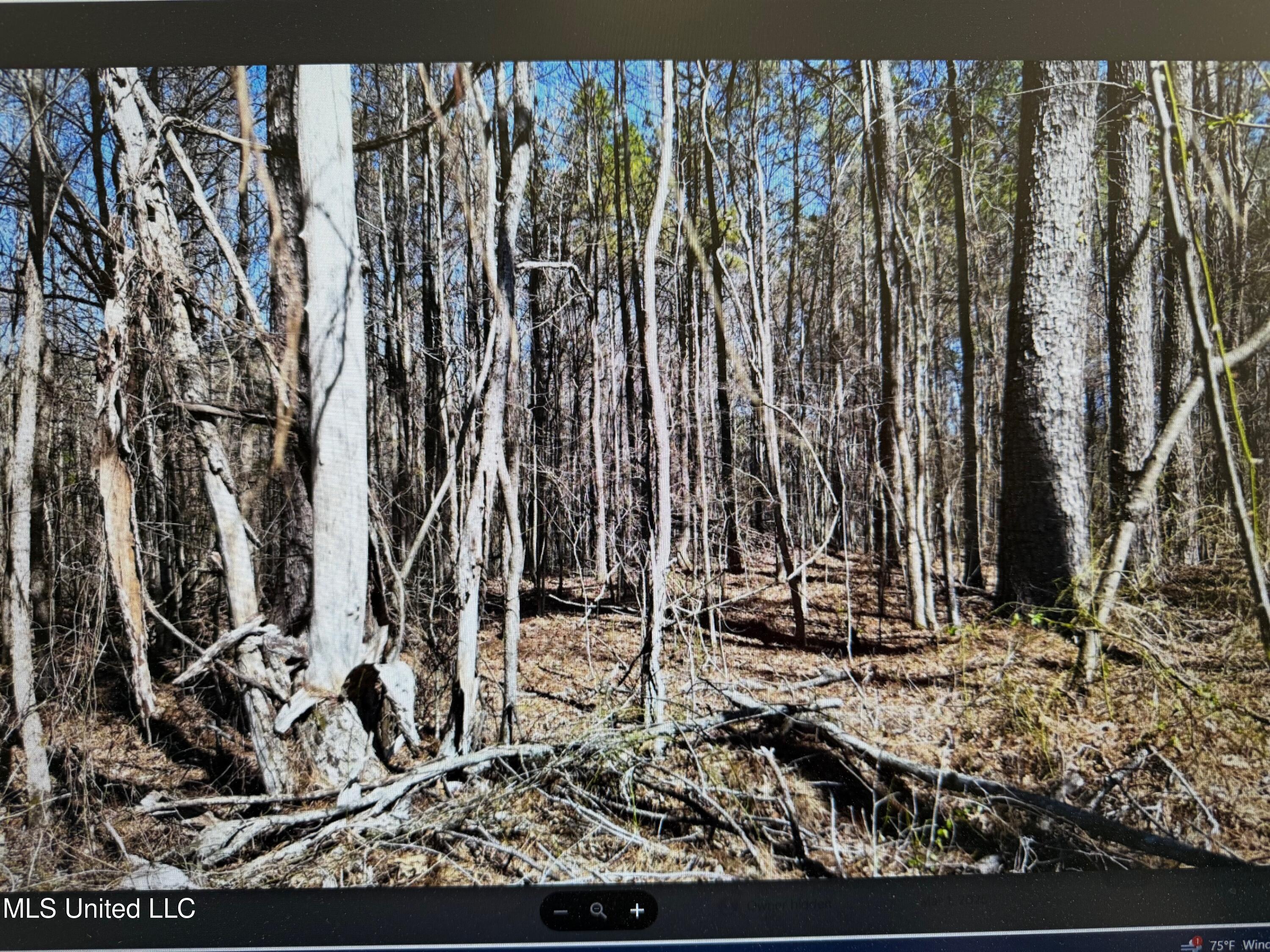 0 Red Hills Road Byhalia, MS 38611 - Photo 4 of 9 red hills 10
