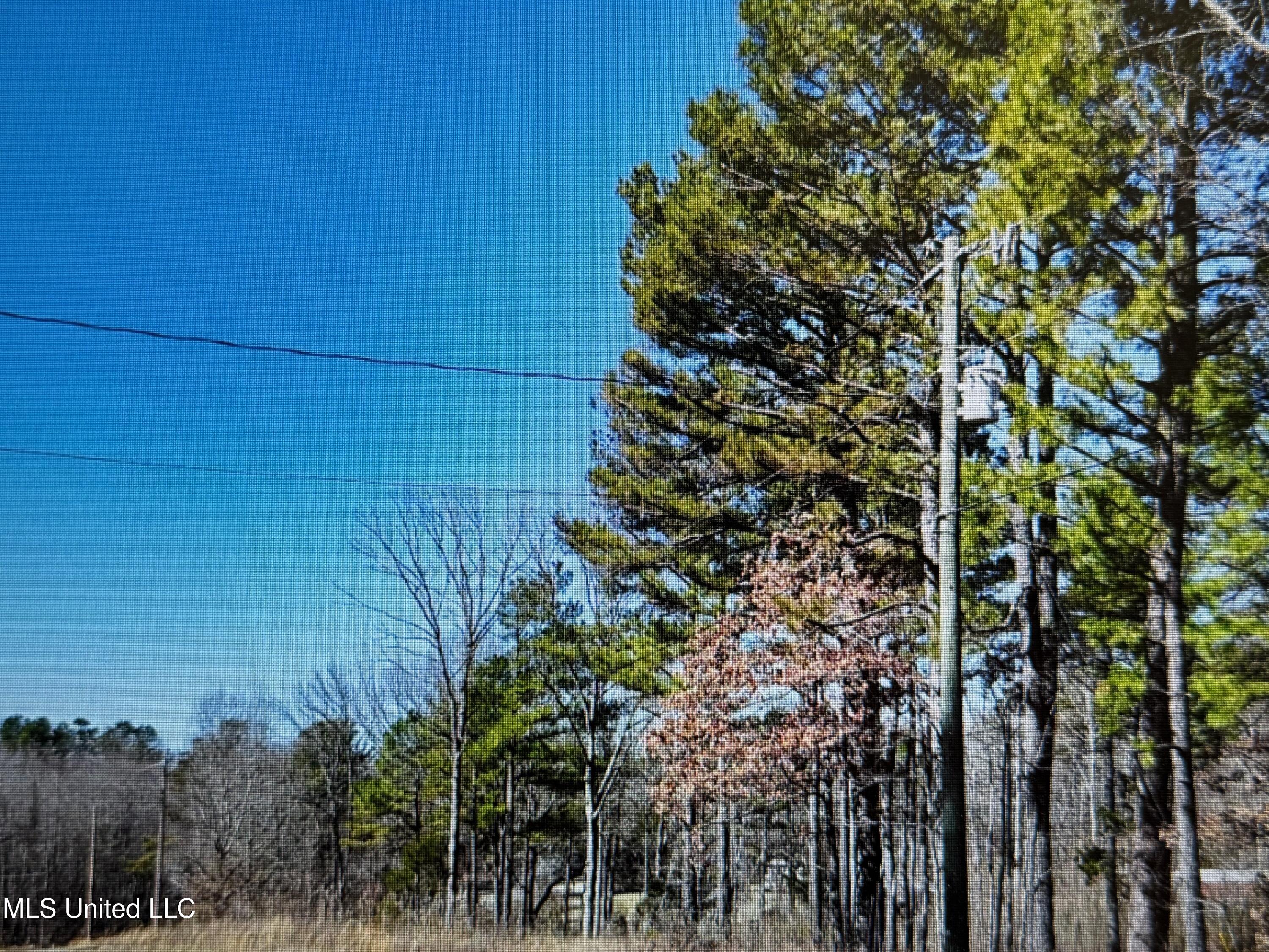 0 Red Hills Road Byhalia, MS 38611 - Photo 7 of 9 red hills13