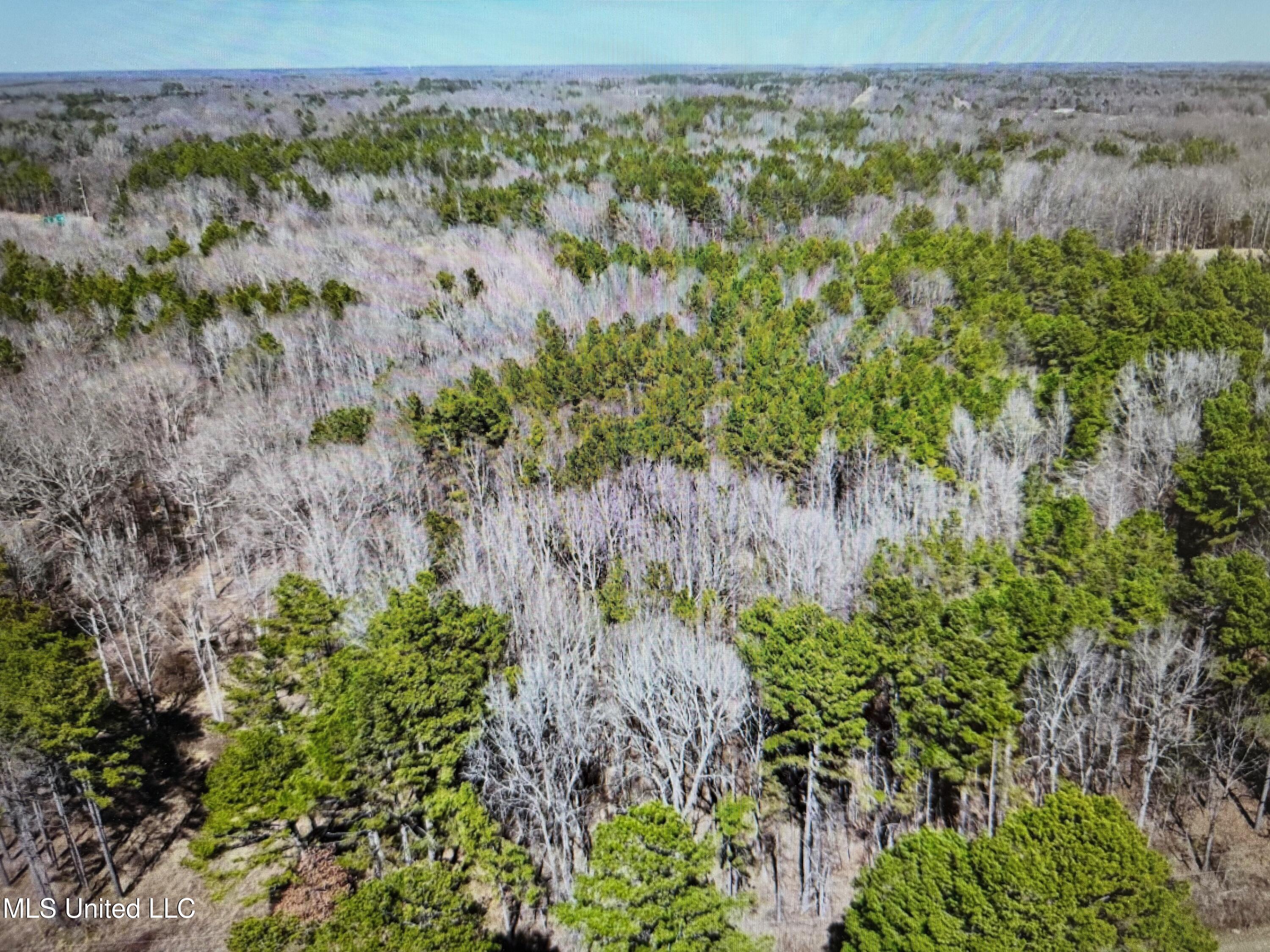 0 Red Hills Road Byhalia, MS 38611 - Photo 9 of 9 red hills 3
