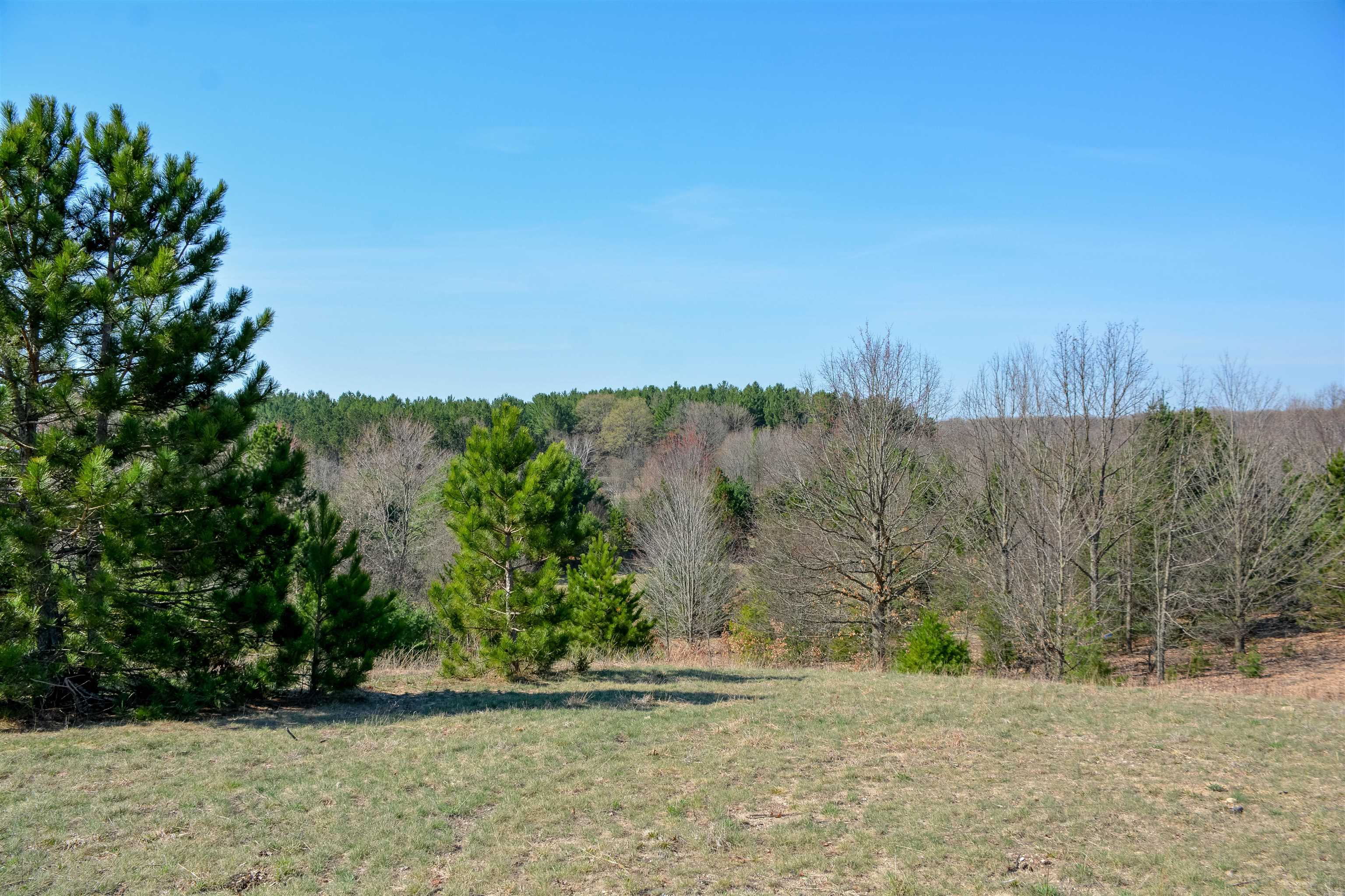 5986 Paradise Ranch Road, Unit LOT: 43 Kingsley, MI 49649 - Photo 24 of 32