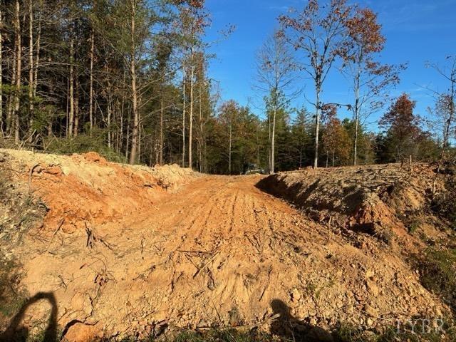 2 A Liberty Chapel Road Appomattox, VA 24522 - Photo 2 of 2 Gallery Image 2