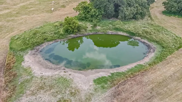 a view of a small pool