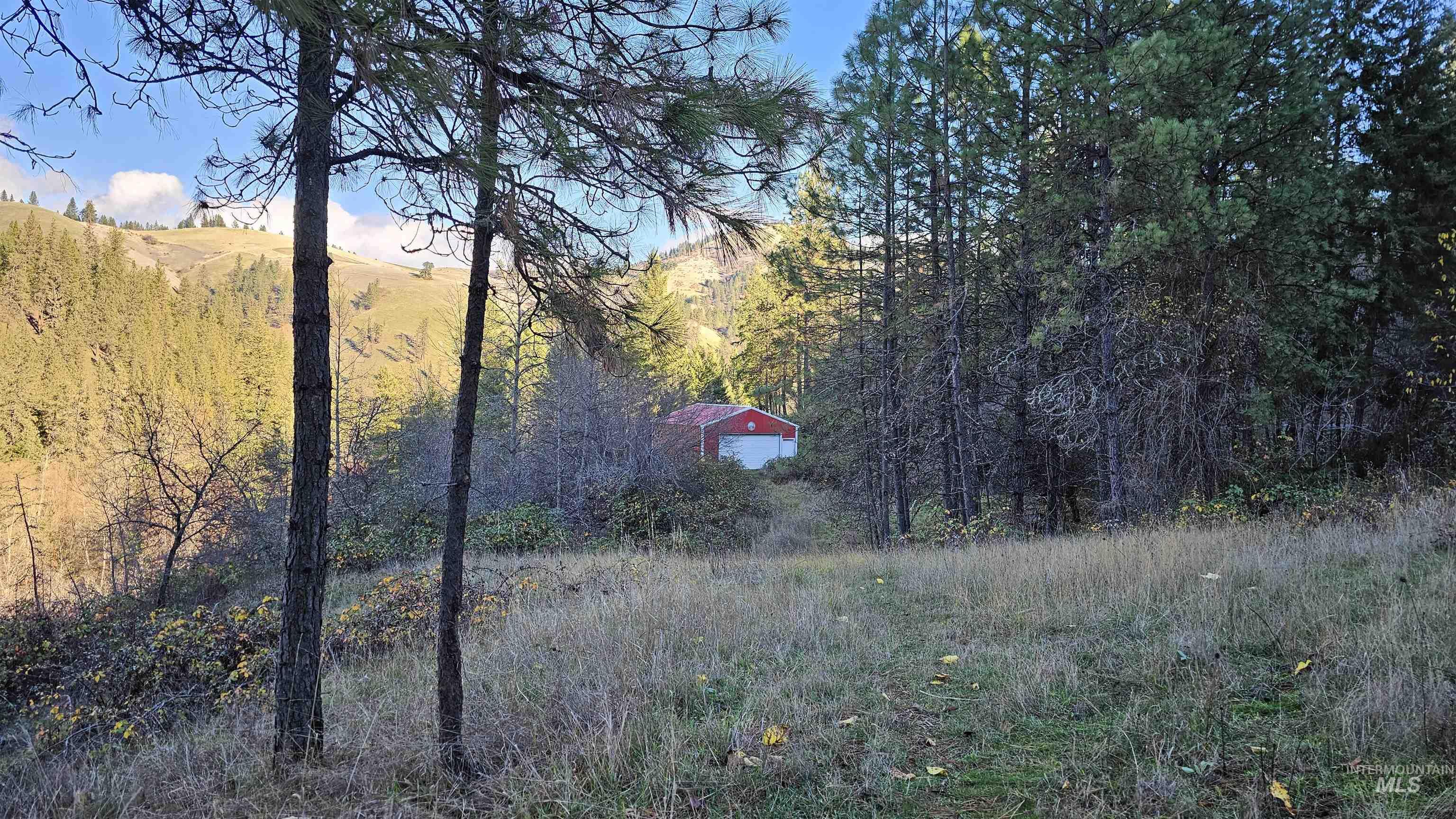 22100 Old Melrose Grade Road Peck, ID 83545 - Photo 17 of 30