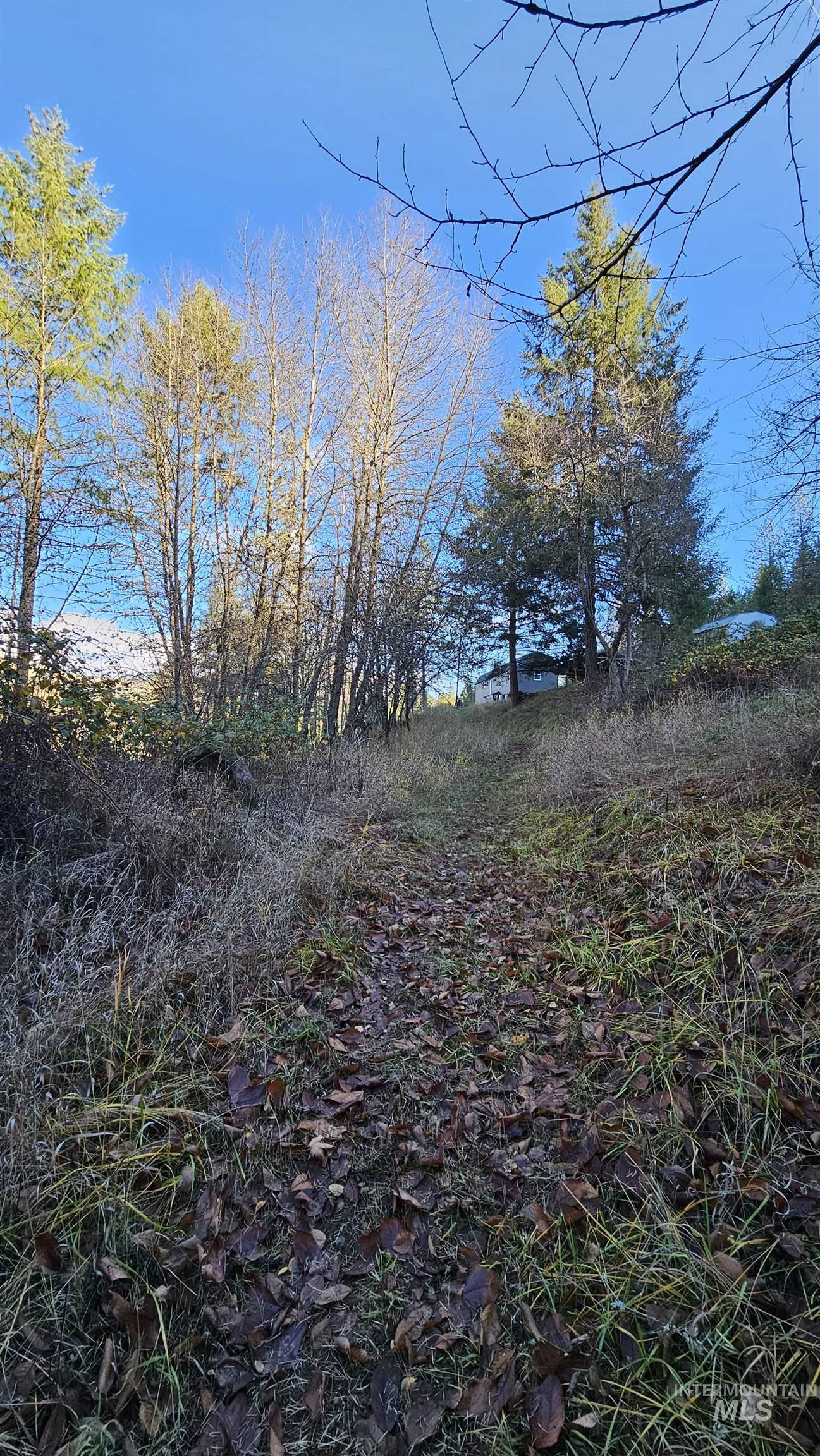 22100 Old Melrose Grade Road Peck, ID 83545 - Photo 25 of 30