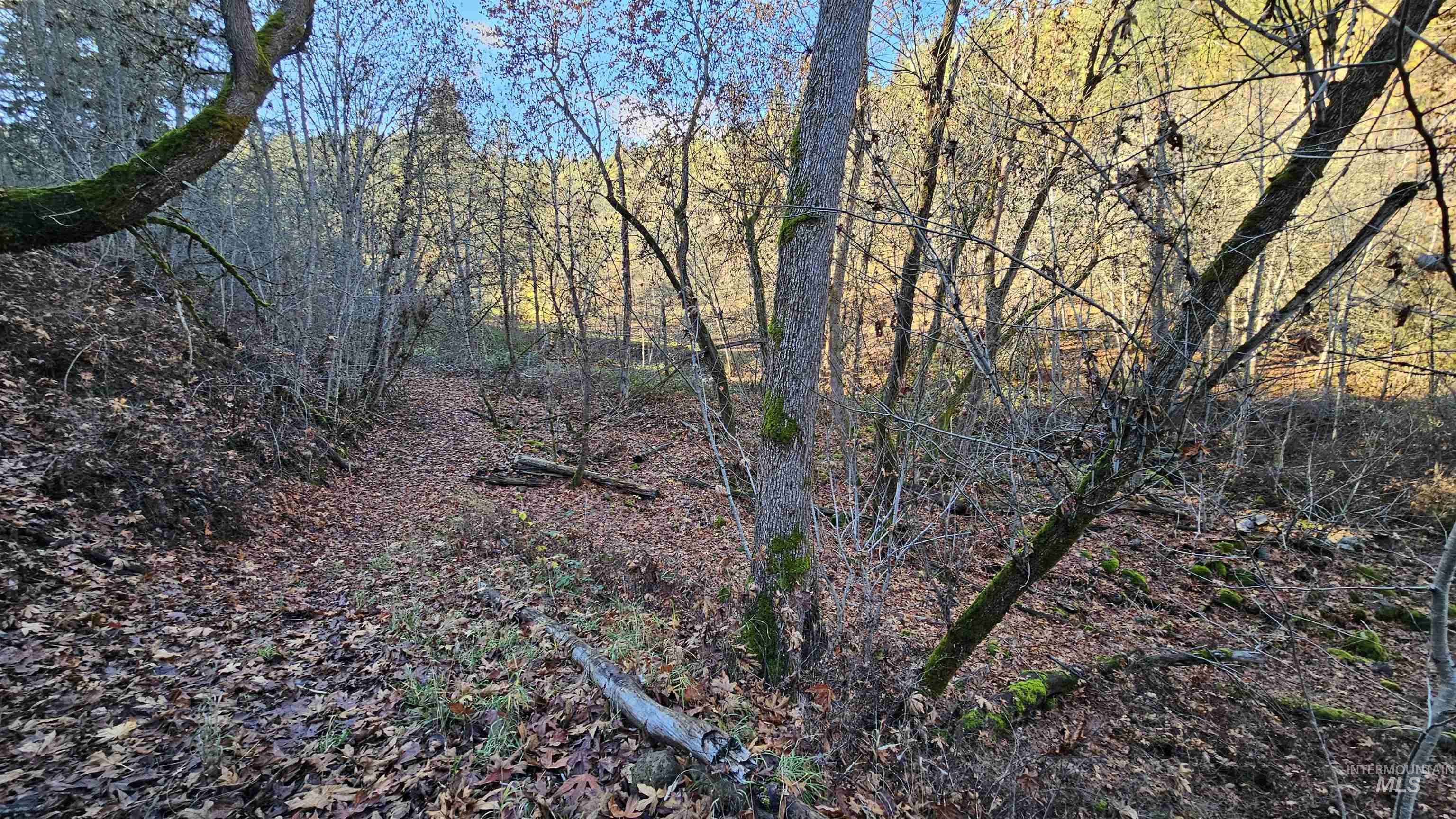 22100 Old Melrose Grade Road Peck, ID 83545 - Photo 26 of 30