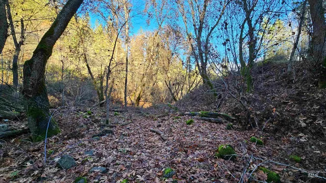 $285,000 | 22100 Old Melrose Grade Road, Peck, ID 83545