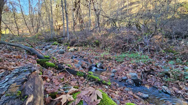 $285,000 | 22100 Old Melrose Grade Road, Peck, ID 83545