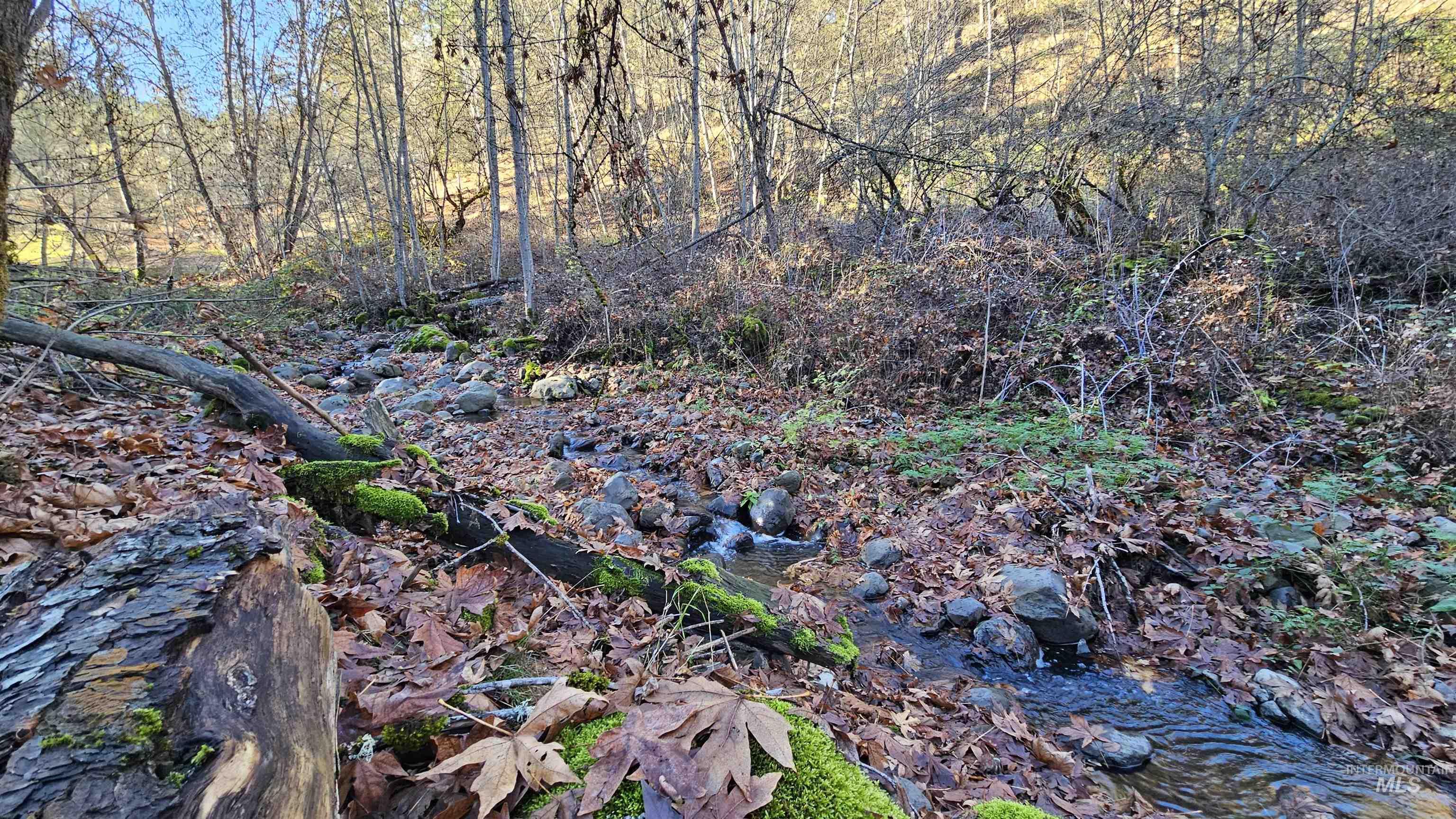 22100 Old Melrose Grade Road Peck, ID 83545 - Photo 28 of 30