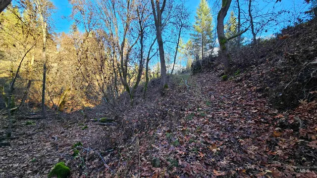 $285,000 | 22100 Old Melrose Grade Road, Peck, ID 83545