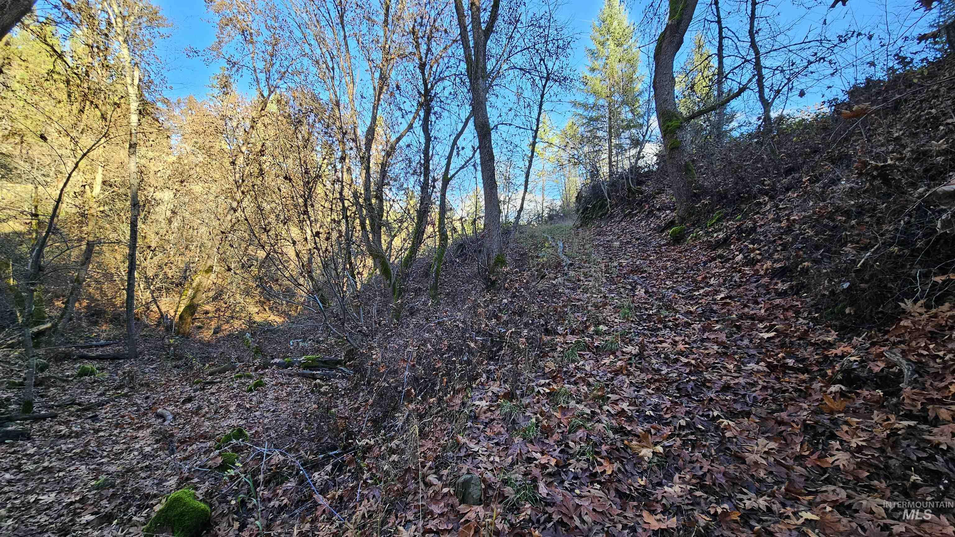 22100 Old Melrose Grade Road Peck, ID 83545 - Photo 29 of 30