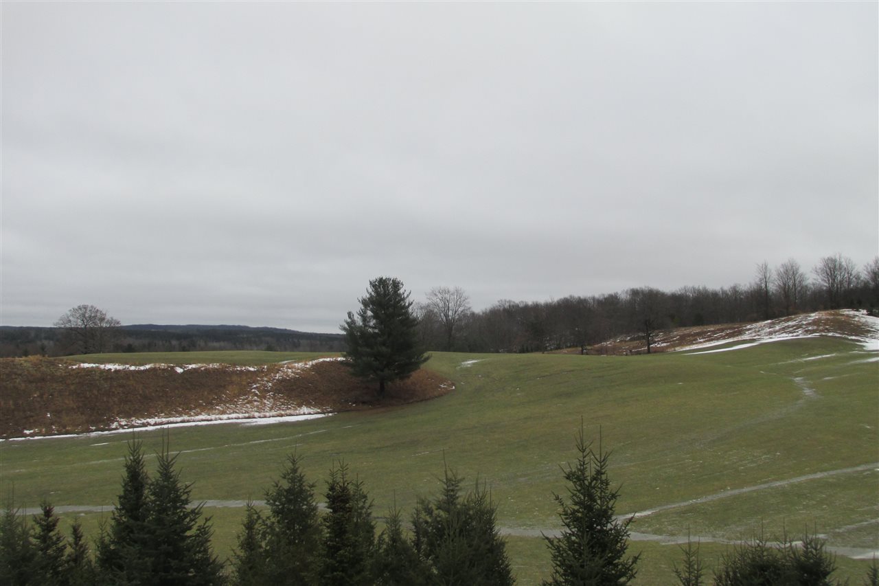 7617 West Rhoby Road Manton, MI 49663 - Photo 16 of 24 1843006-15.JPG