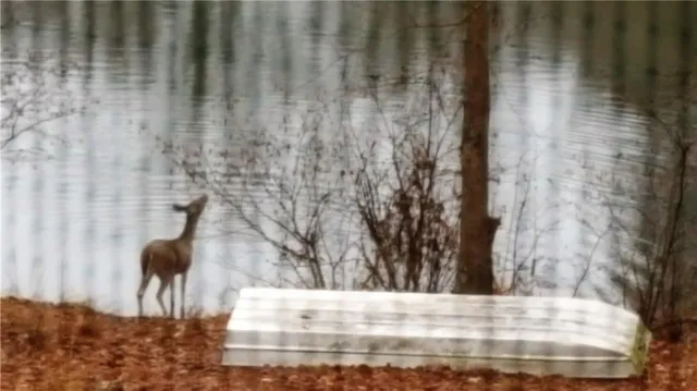 $2,500 | 4225 Burns Heritage Trail, Unit BSMT, Roswell, GA 30075