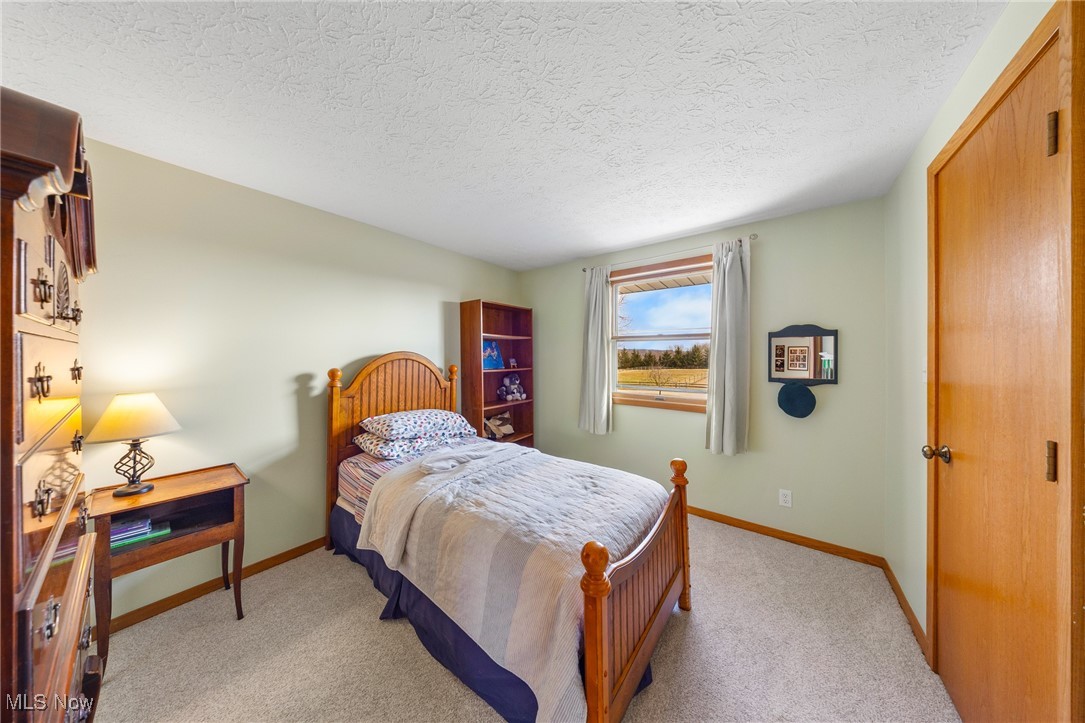 4515 State Road Medina, OH 44256 - Photo 21 of 36 Bedroom with a textured ceiling, baseboards, and light carpet