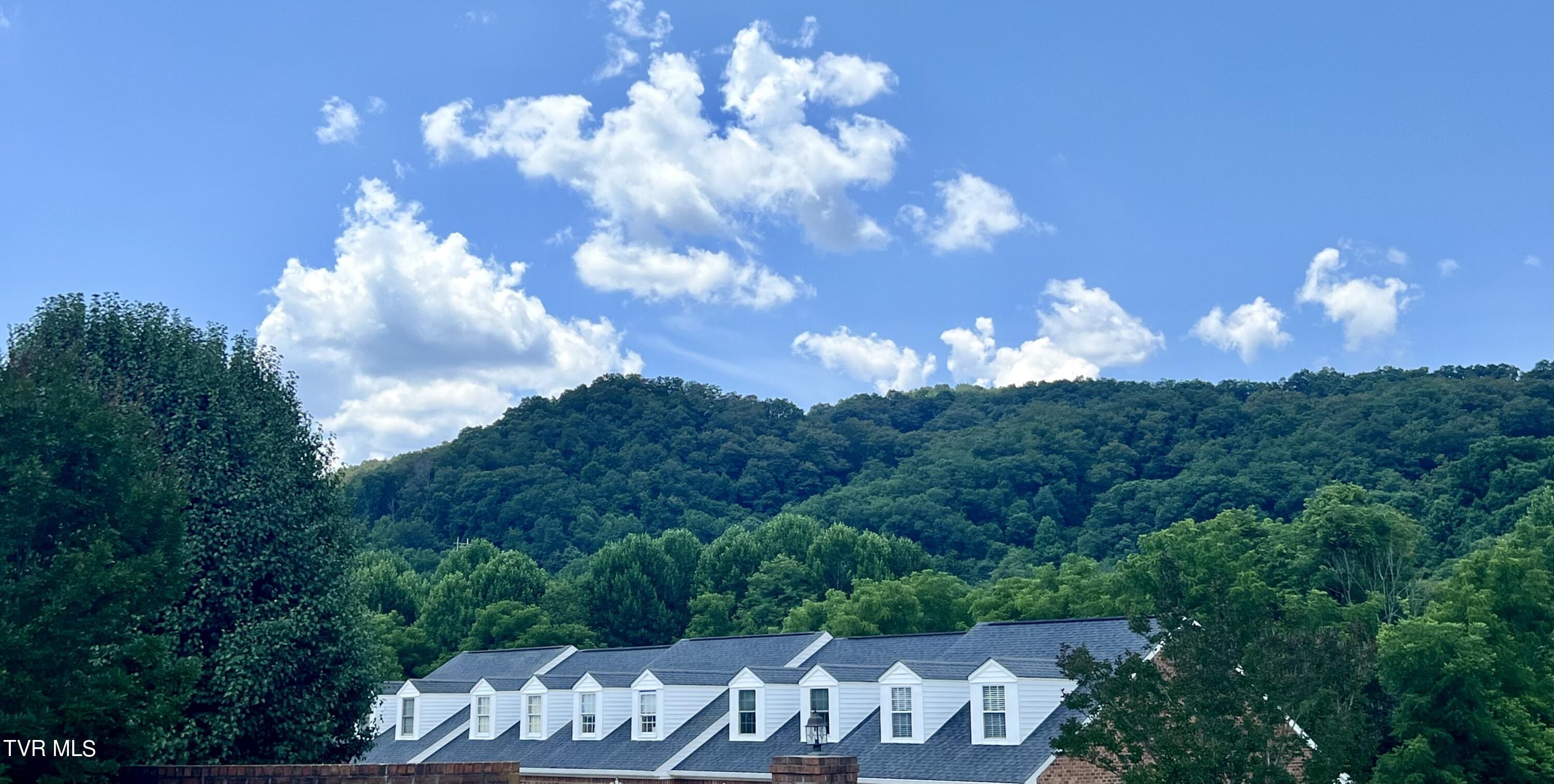 517 Hickory Road, Unit 517 Bristol, TN 37620 - Photo 3 of 32 Beautiful Mountain Backdrop
