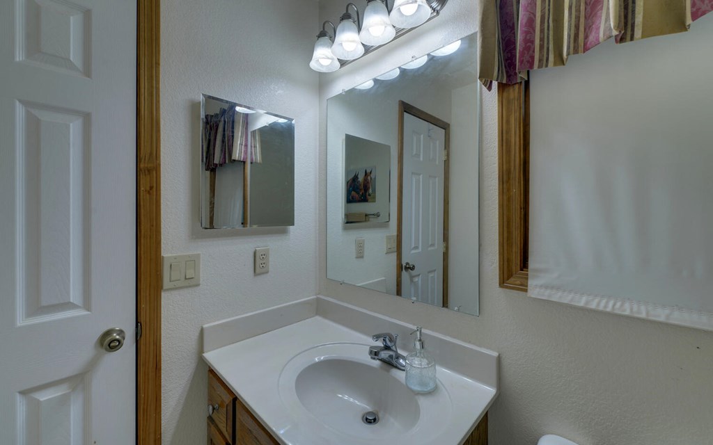 56 Waxwing Trail Murphy, NC 28906 - Photo 26 of 49 a bathroom with a sink and a mirror