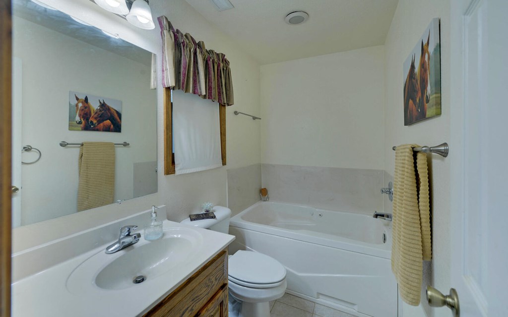 56 Waxwing Trail Murphy, NC 28906 - Photo 27 of 49 a bath room with a toilet a sink and a bath tub