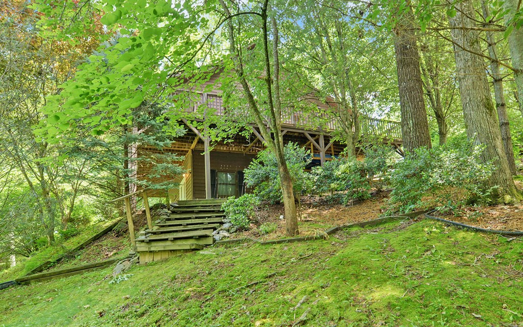 56 Waxwing Trail Murphy, NC 28906 - Photo 43 of 49 a view of outdoor space and yard