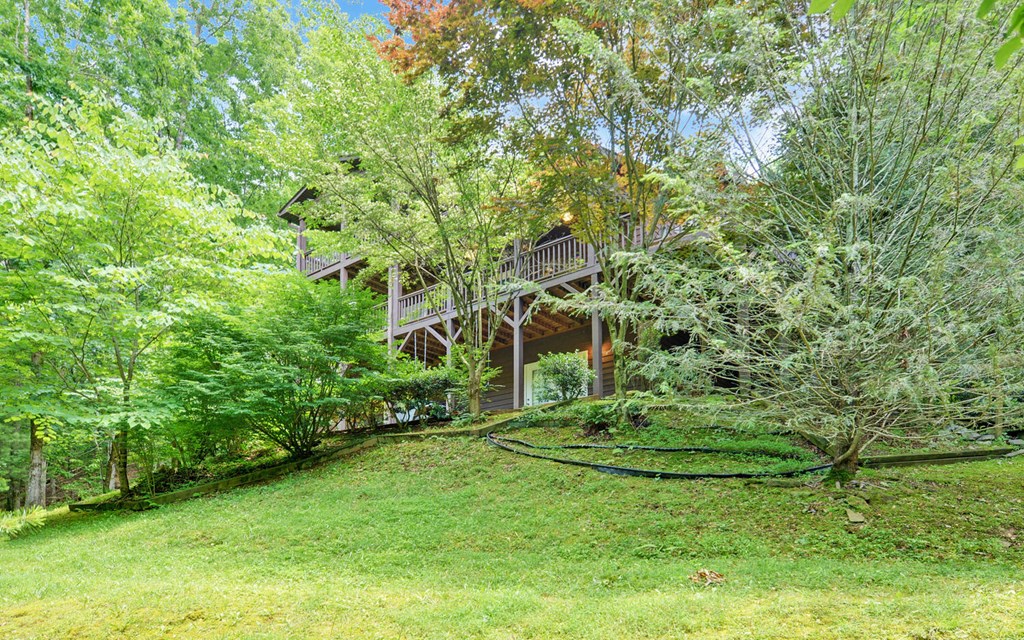 56 Waxwing Trail Murphy, NC 28906 - Photo 44 of 49 a view of a backyard