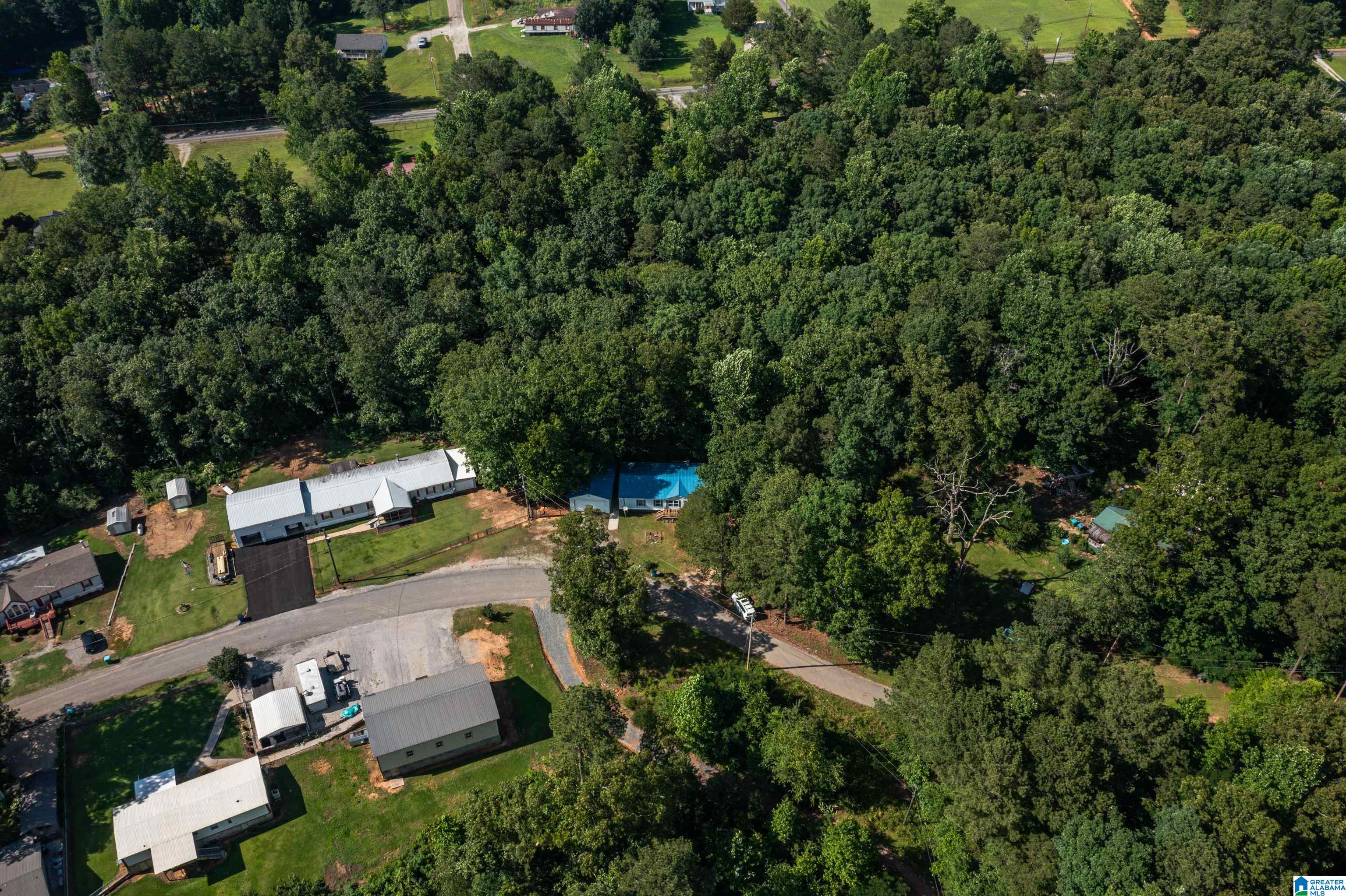 650 Davidson Drive Locust Fork, AL 35097 - Photo 52 of 55