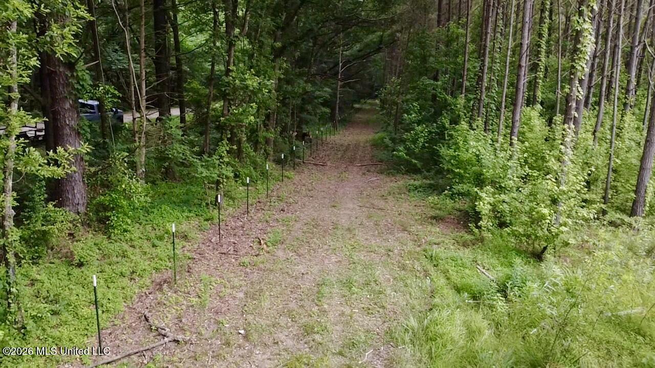 8119 Dry Grove Road Raymond, MS 39154 - Photo 24 of 45 2026-06-08-17-34-50-328