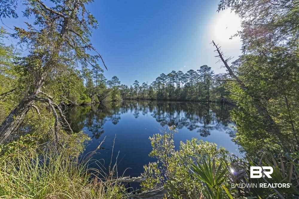 0 Three 3 Rivers Road Seminole, AL 36574 - Photo 10 of 27