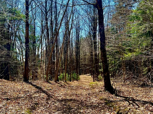 $750,000 | 374 Watson Spruce Corner Road, Ashfield, MA 01330